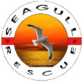 Associação de Nadadores Salvadores de Grândola "Seagull Rescue"